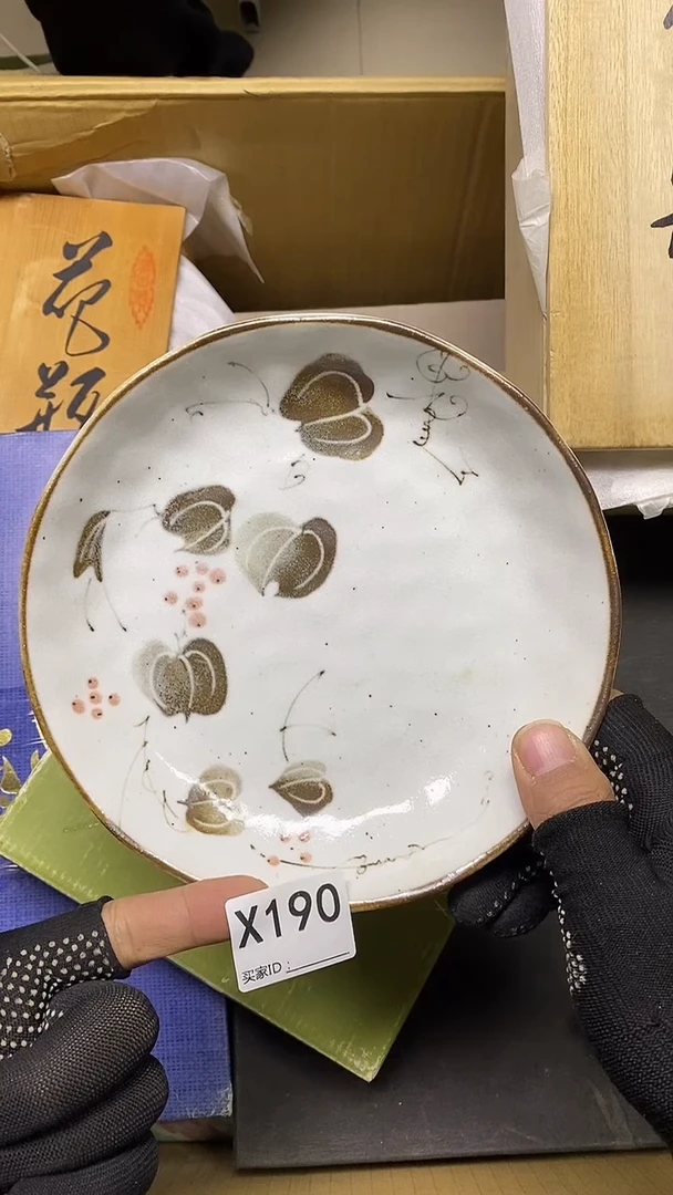 瓷片X190默认微瑕，谨慎参拍橘吉