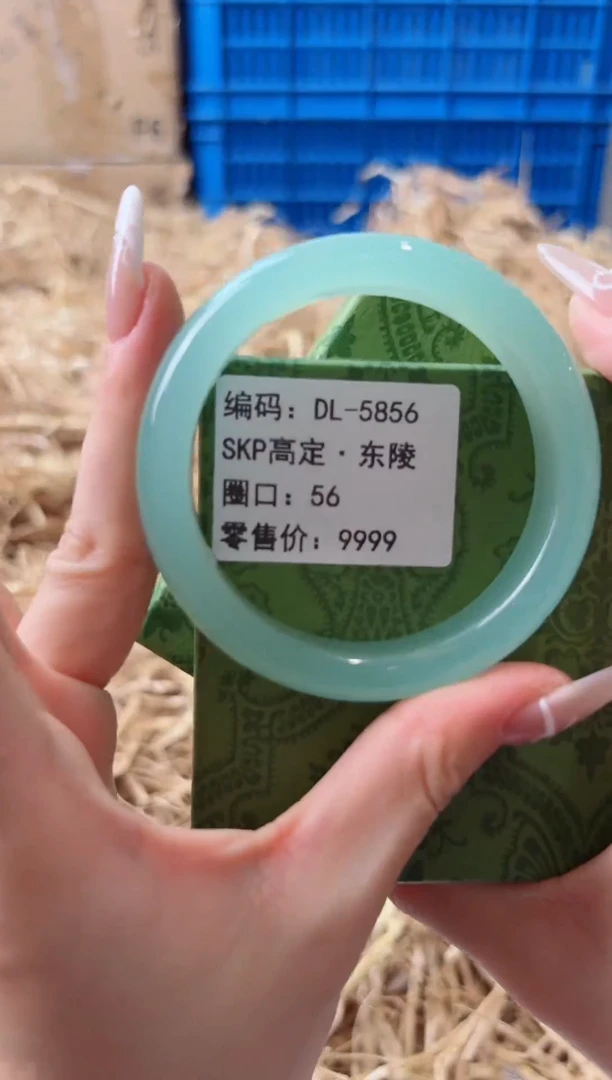未镶嵌手镯石英质玉DL-5856