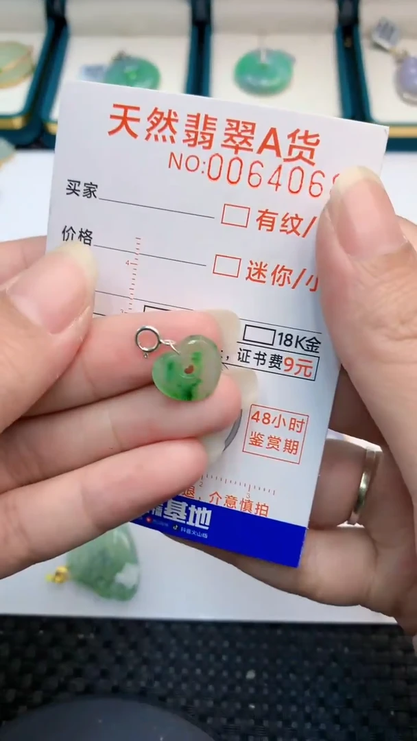 【闪购商品】翡翠颈饰银S925镶嵌            8