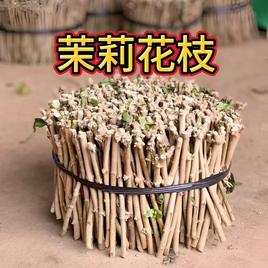茉莉花枝条批发直销基地原生土培扦插枝容易养活基地一手货源包邮
