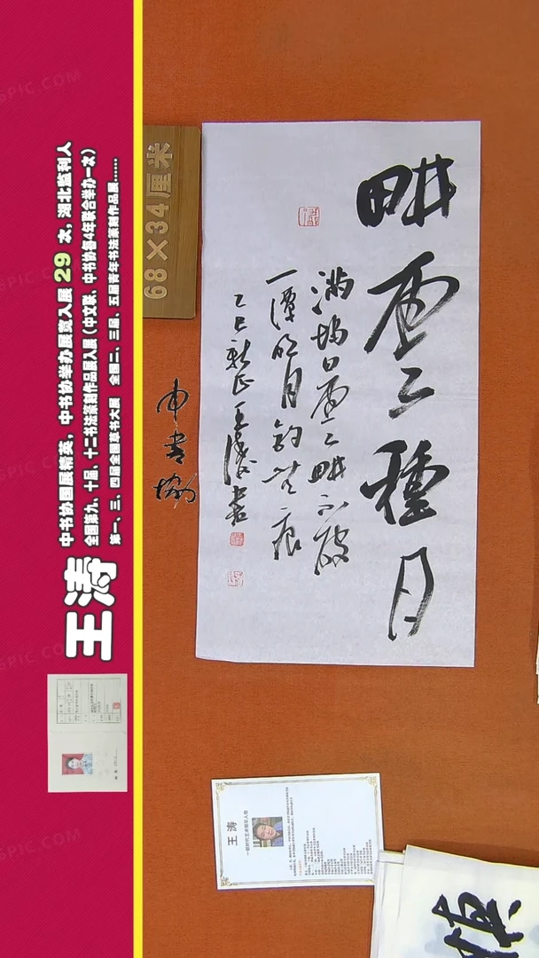 【闪购商品】书法94王涛书法作品