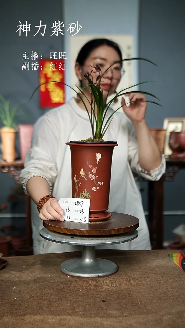 2857+Z 紫砂花盆紫砂