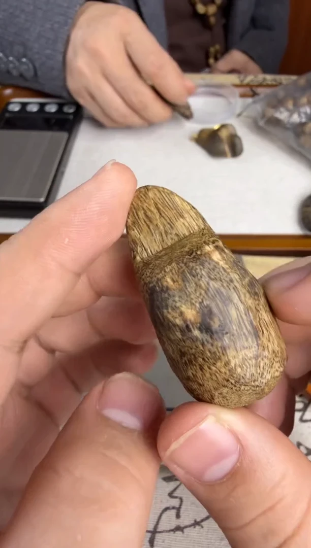 沉香沉香碎屑奇楠沉香树丁原材料一块6.3g