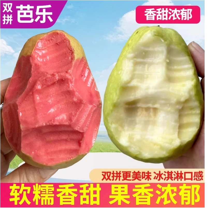 广西新鲜水果红+白心混合装芭乐番石榴软糯 当季孕妇水果5斤装