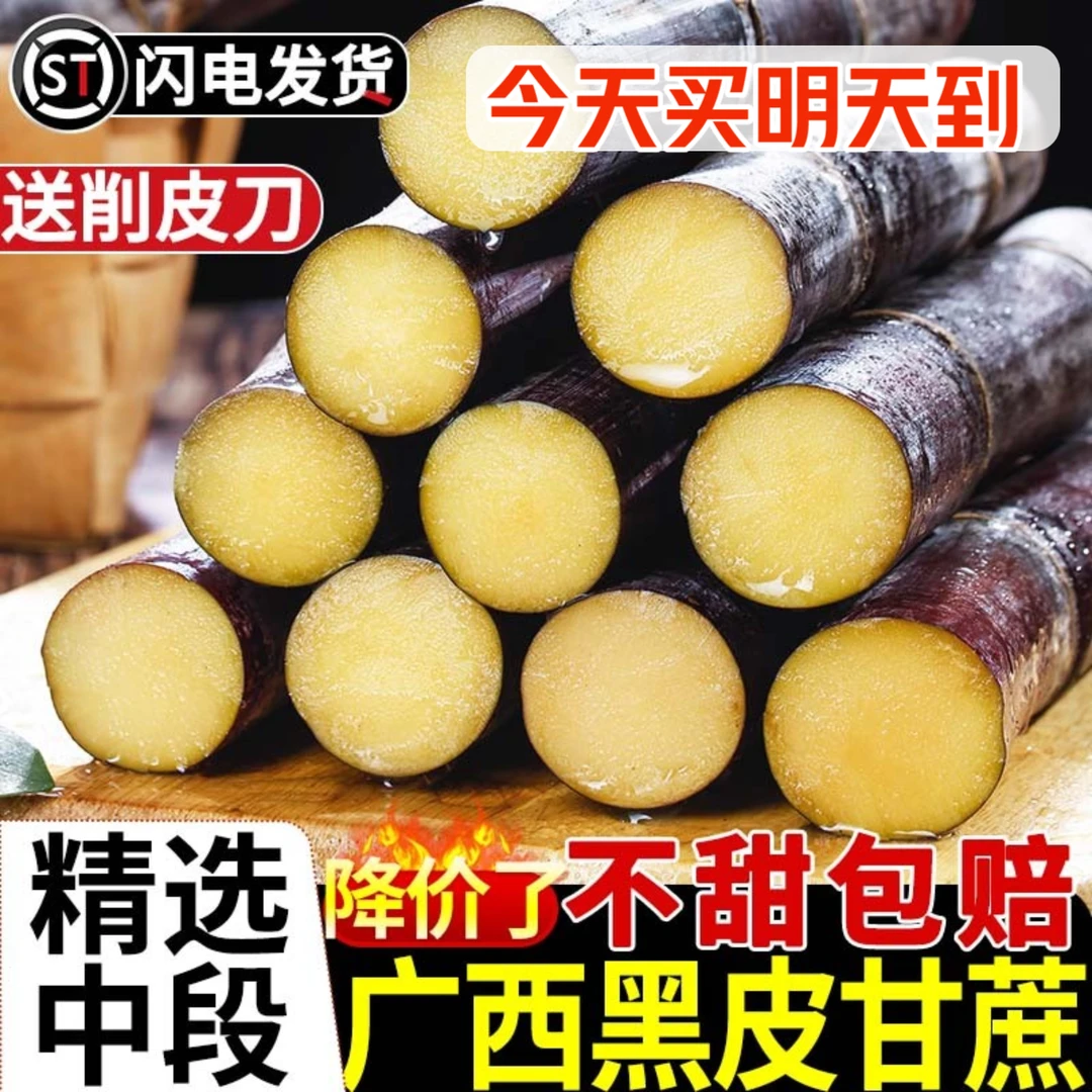 广西黑皮甘蔗8斤精选中段新鲜孕妇水果应当季脆甜多汁甜杆蔗特产