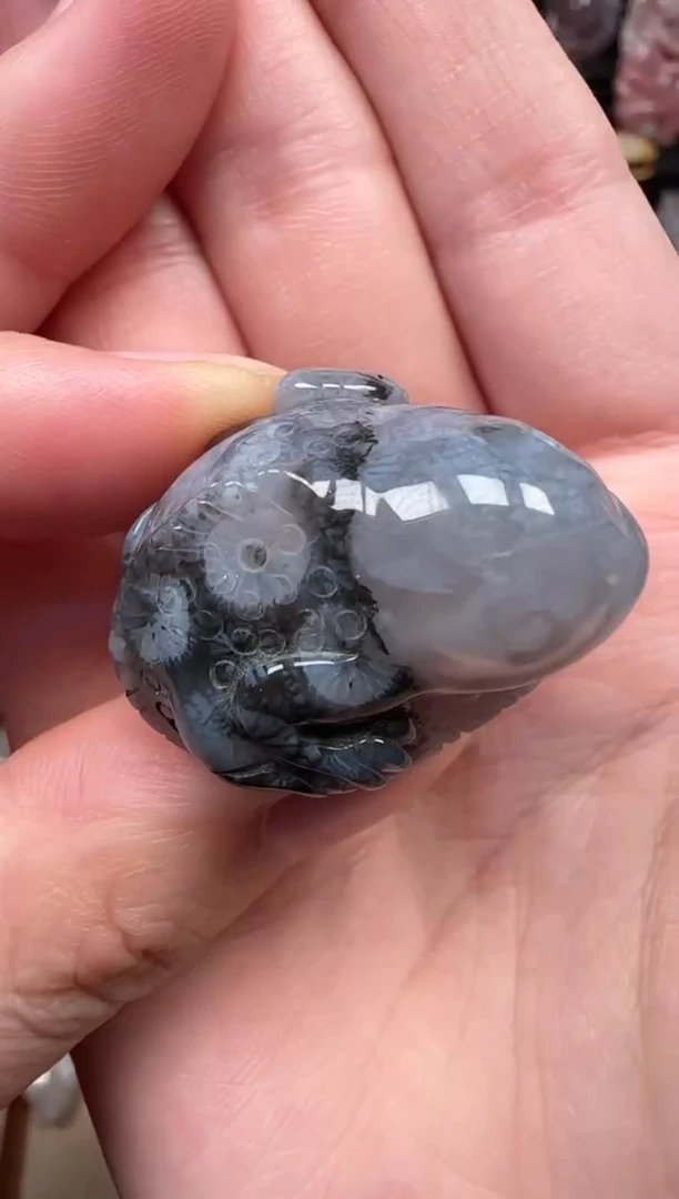 颈饰未镶嵌硅化珊瑚（珊瑚玉）104