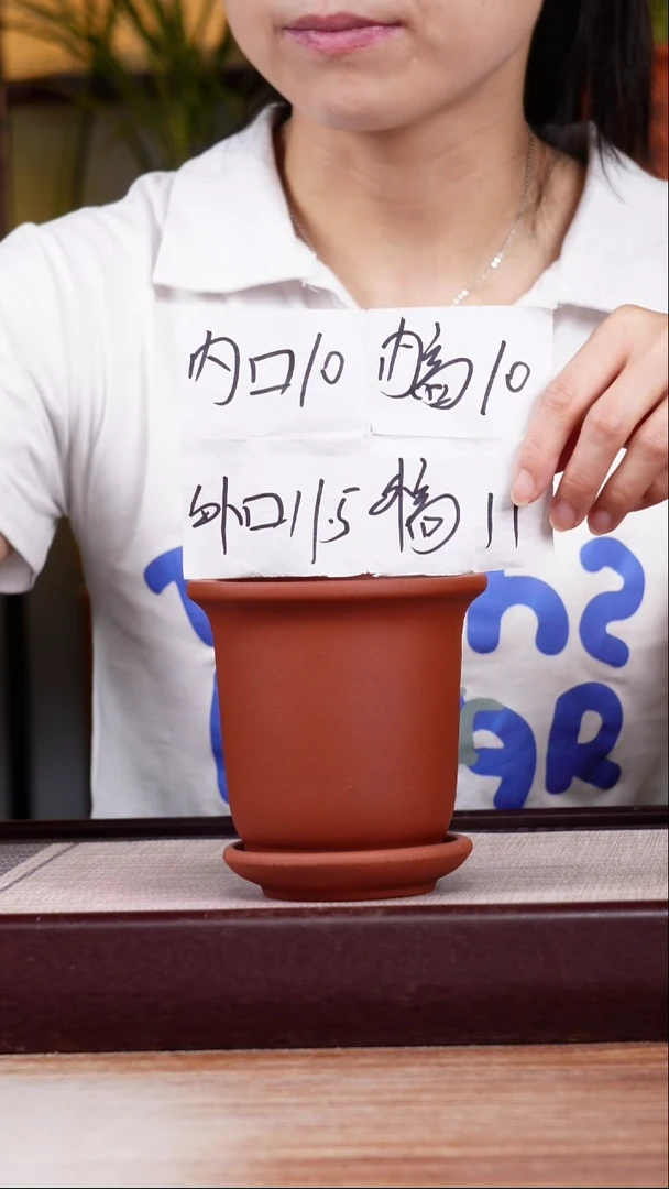紫砂花盆新款清水泥素面迷你小金钟一只带托