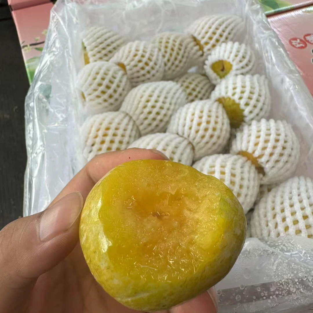 【红星水果甄选】当季新鲜云南正宗金丝密李【顺丰次日达】云南省