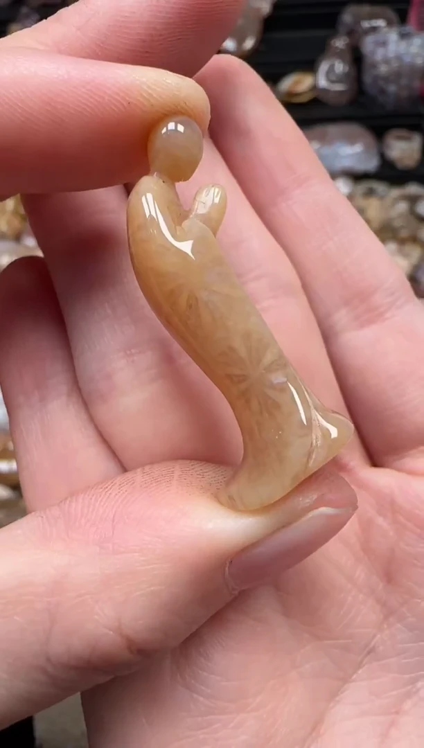 颈饰未镶嵌硅化珊瑚（珊瑚玉）162