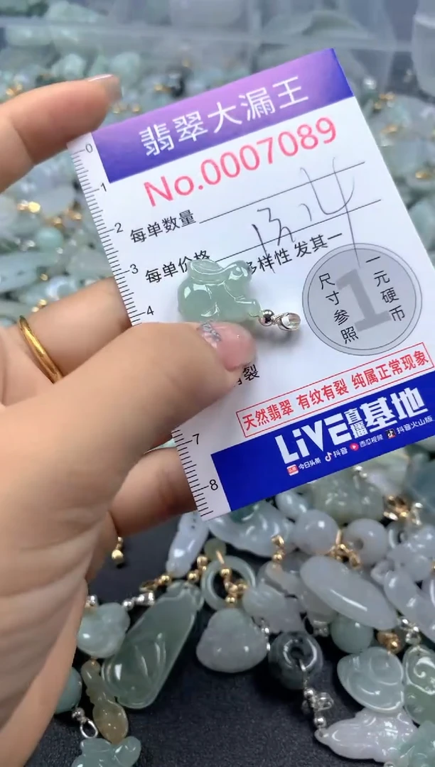 颈饰未镶嵌翡翠7089