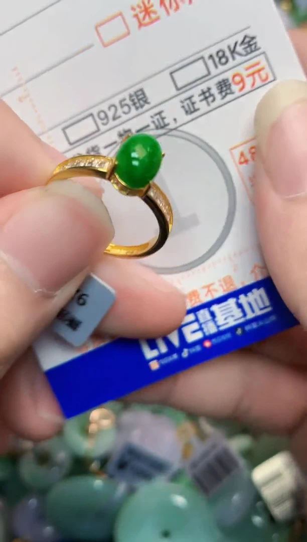 翡翠未镶嵌颈饰        1