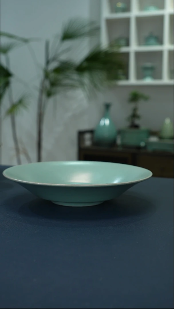 瓷片22号折沿盘19.8口径二级品    洁