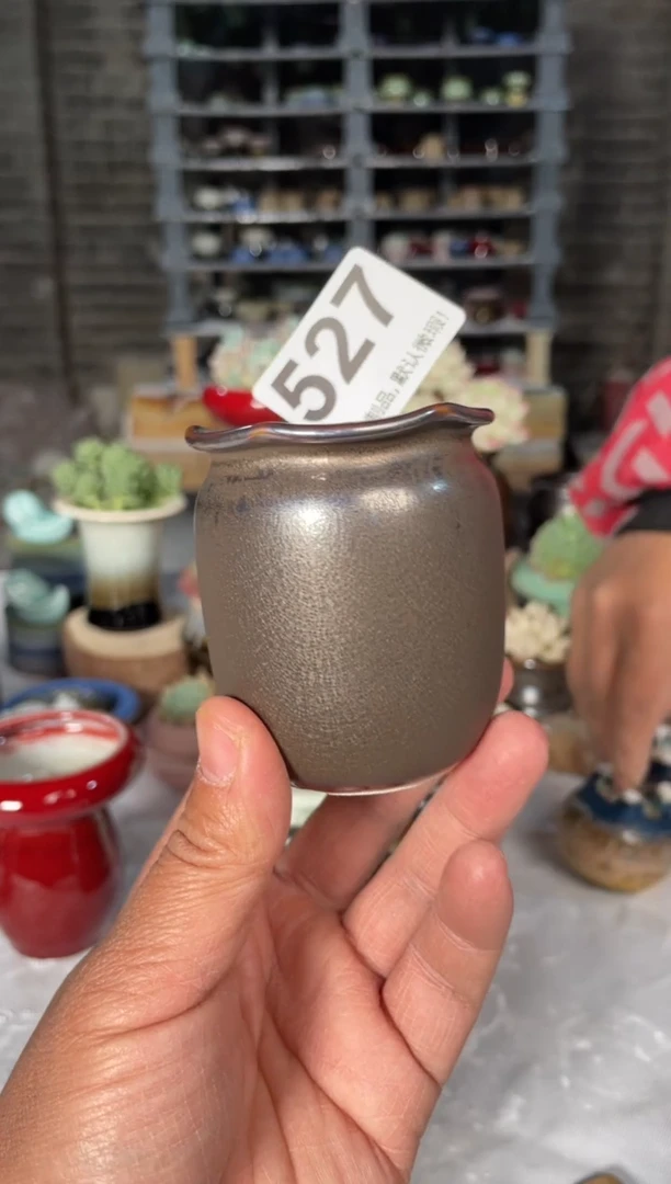 瓷片527小芳直播编号