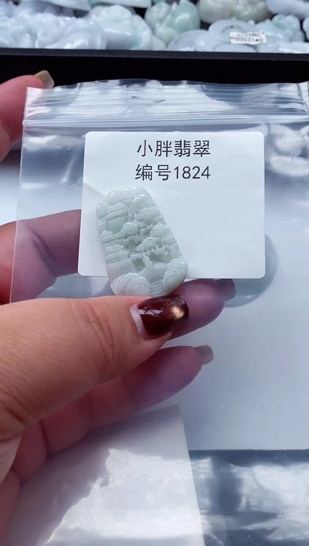 颈饰未镶嵌翡翠缅甸天然A货翡翠1824