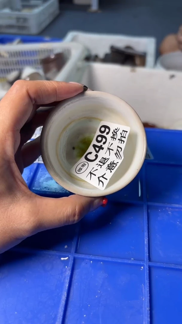 小龙堂不退不换499