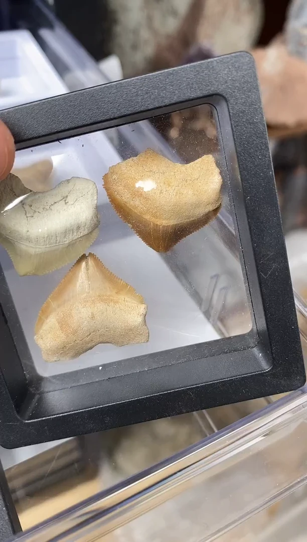 精美摆件创意礼物家居配饰新年礼物个人收藏