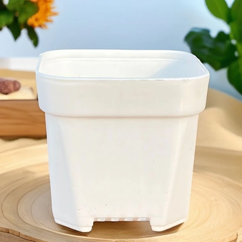 景天140白方盆加厚口14厘米高13厘米多肉专