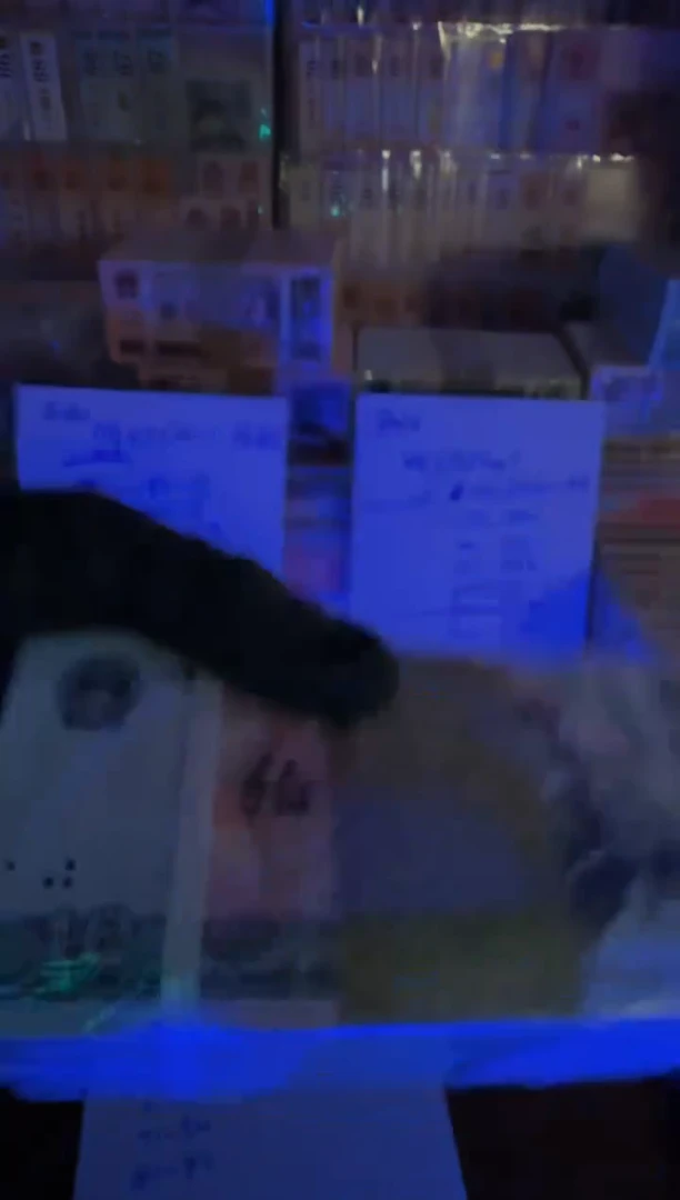 启***宝8010 NA61560571-80标十
