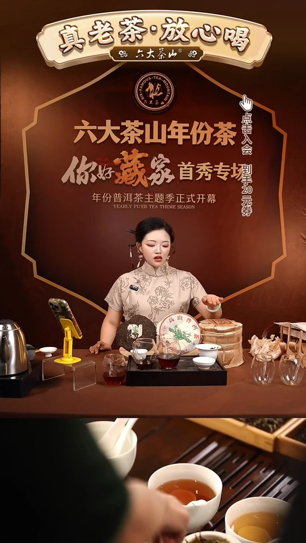 知**乐【六大茶山】韵云南-布朗族(2014)、基诺族、佤族 363g/砖 生茶