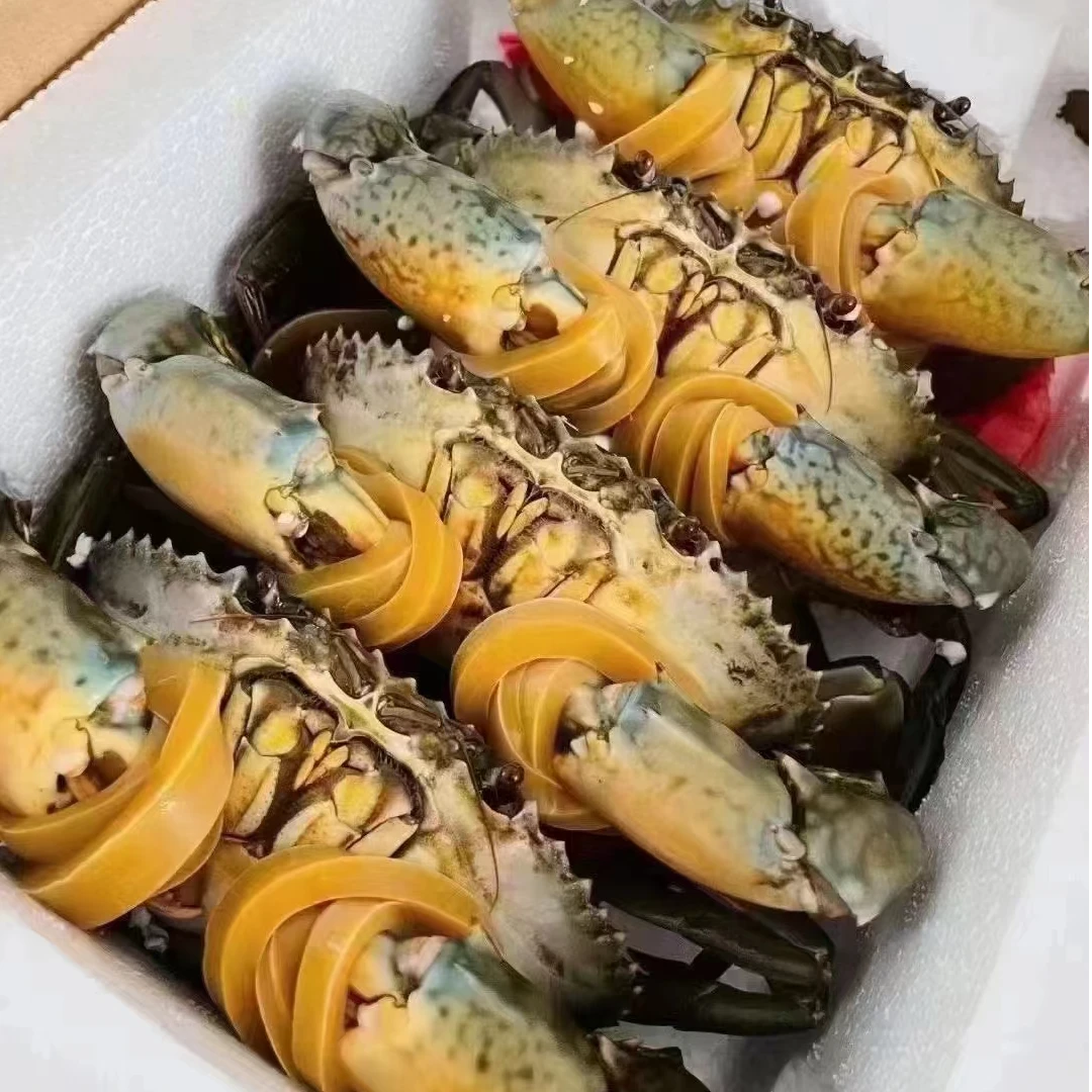 现称1号链接东山岛青蟹 公蟹 母蟹 红膏蟹  勿放冰箱