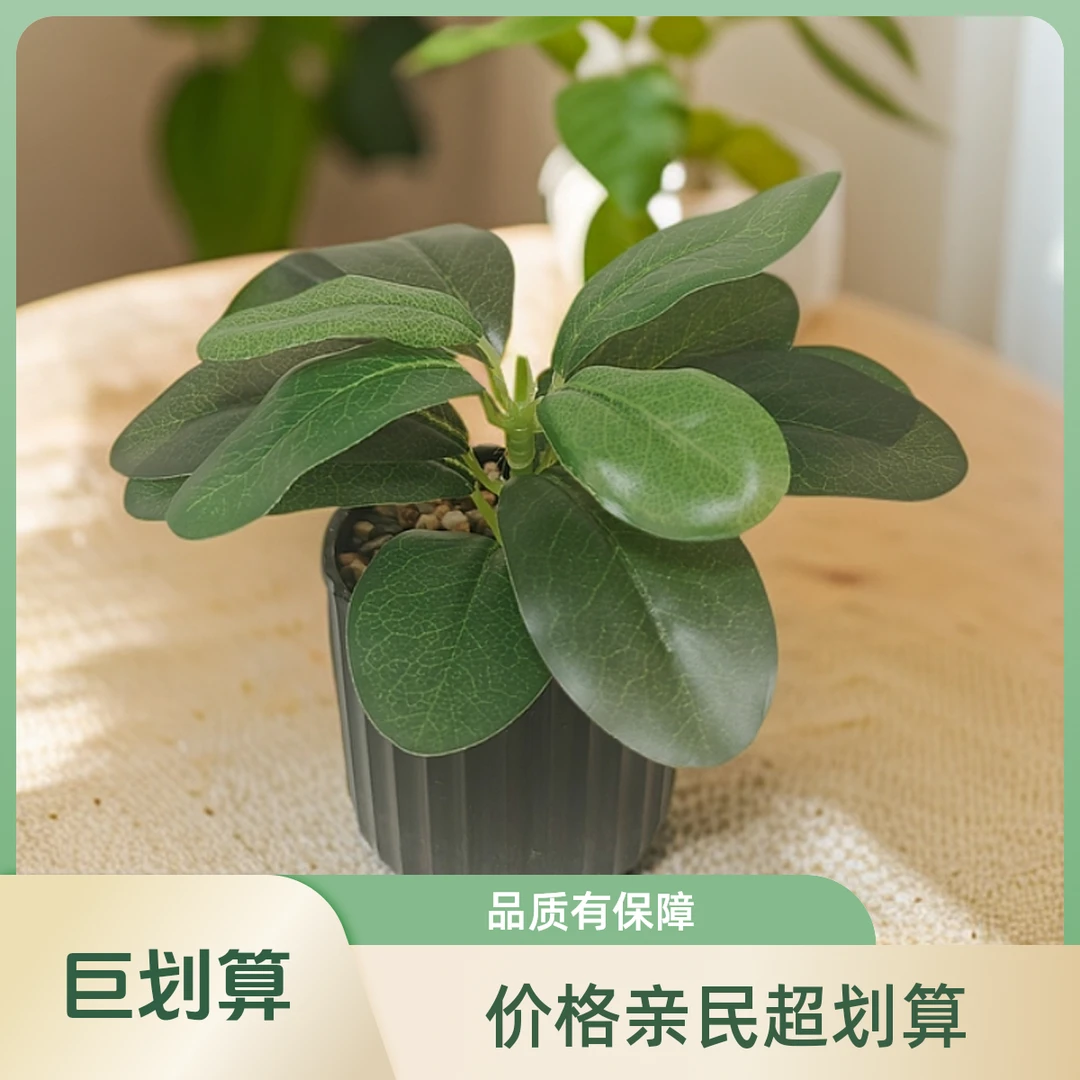 北欧ins风永生仿真豆瓣绿植盆栽办公室内卧室客厅网红桌面小盆景