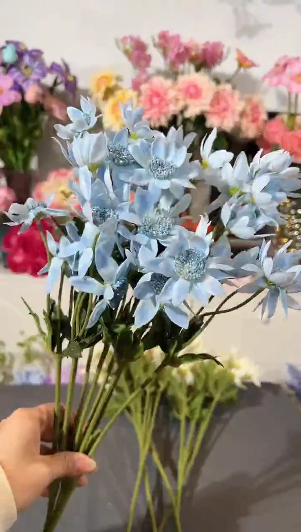 3枝蓝色手感保湿星芹花