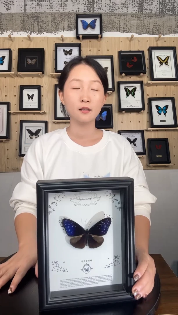 异型紫斑蝶蝴蝶标本装饰画7寸框