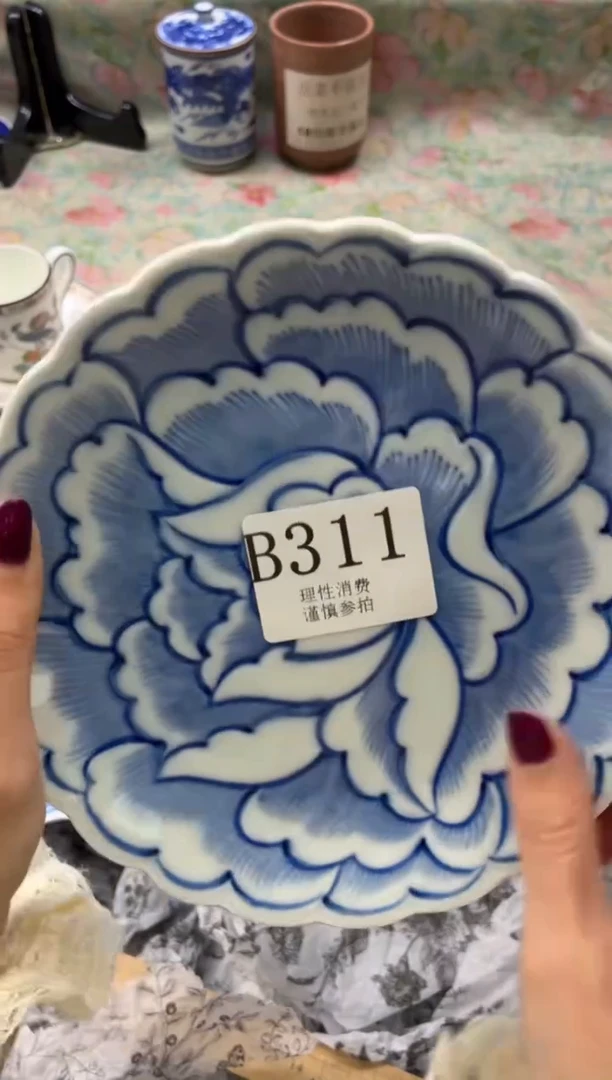 瓷片晚***猫       B311