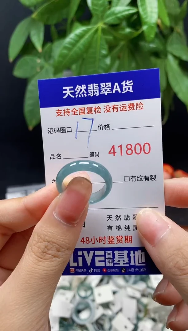 翡翠戒指未镶嵌天然翡翠戒圈1800