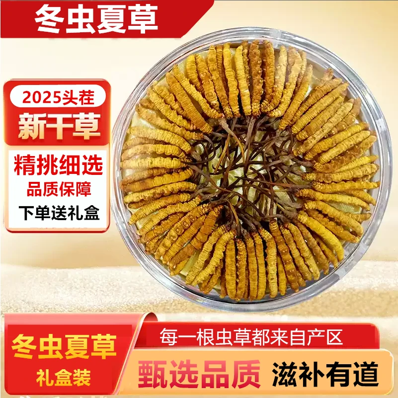 2025头期虫草2根/g正品冬虫夏草虫草礼盒装干货泡酒滋补品礼盒装
