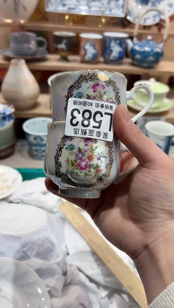 【闪购商品】瓷片当天凑满25米包邮L583