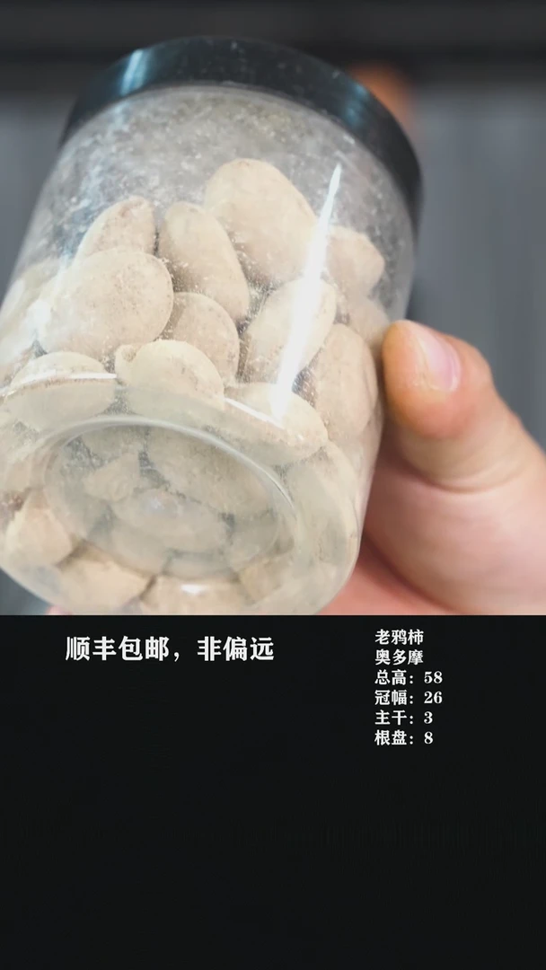 【闪购商品】IB4复合肥50粒装
