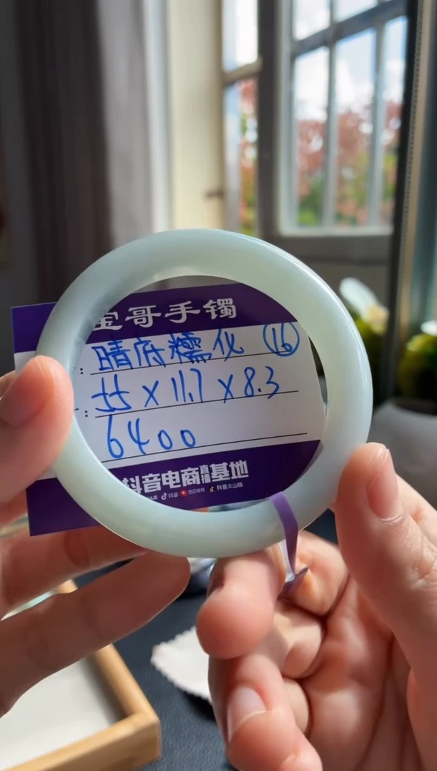 未镶嵌手镯翡翠翡翠手镯16号