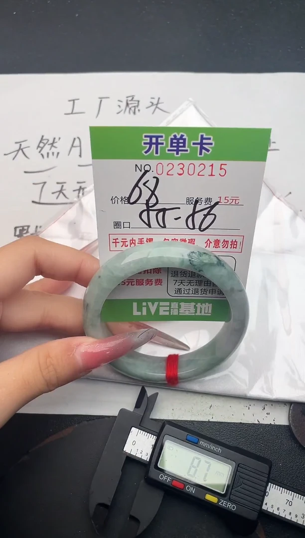 未镶嵌手镯翡翠15