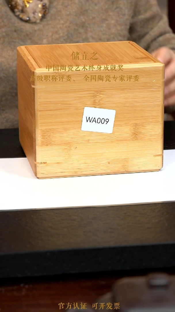 【闪购商品】紫砂茶壶WA009-0120ZLC