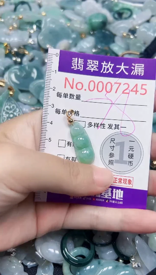 颈饰未镶嵌翡翠7245