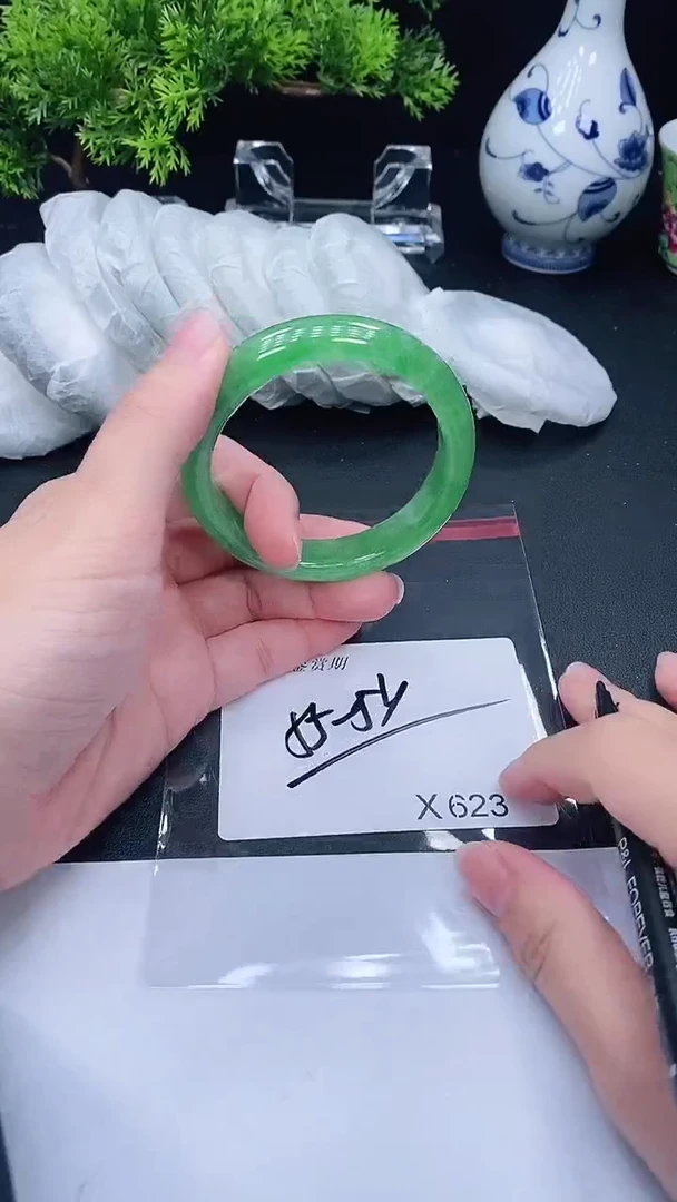 未镶嵌手镯翡翠623