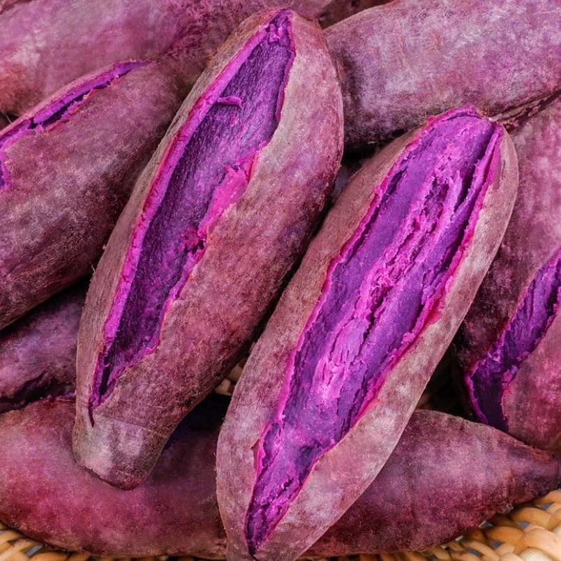 【头茬新薯】新鲜沙地紫罗兰紫薯紫心蜜薯香甜粉糯可蒸烤的健康粗粮