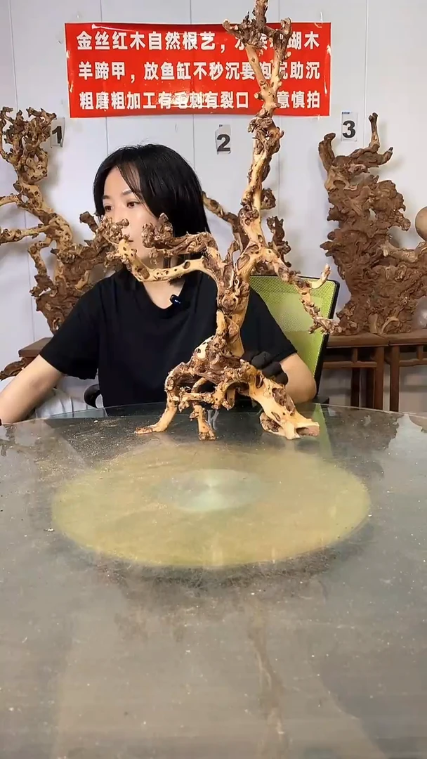 香榧木金丝红木 羊蹄甲