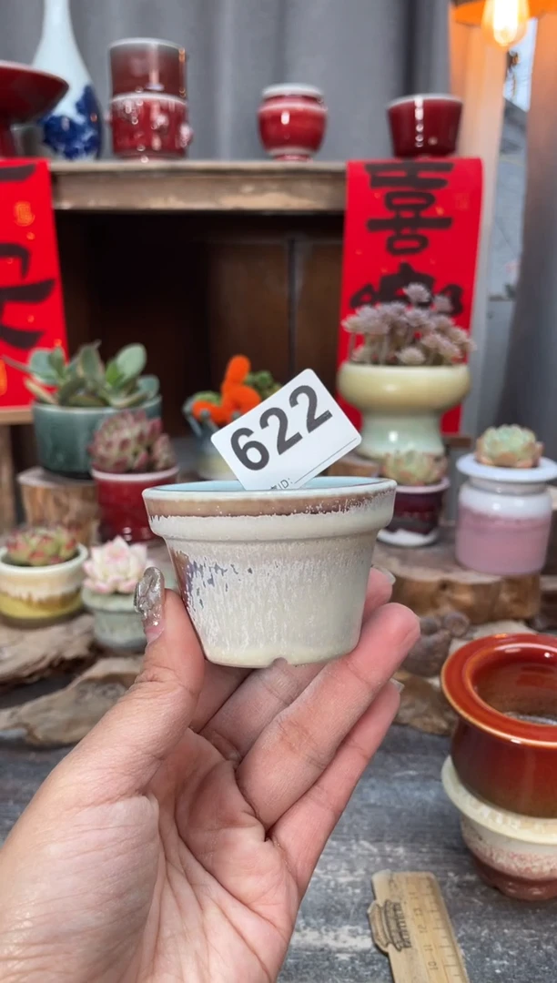 【闪购商品】摆件622知木小芳花盆