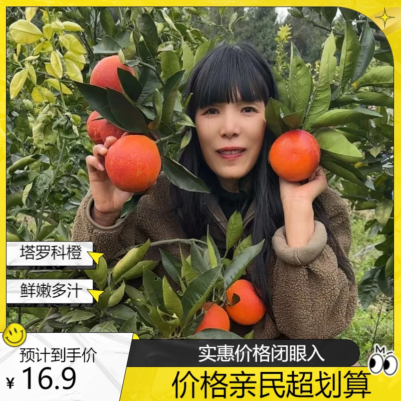 【大山里的女汉子】塔罗科血橙多汁细腻香甜5斤/10斤橙子新鲜现摘