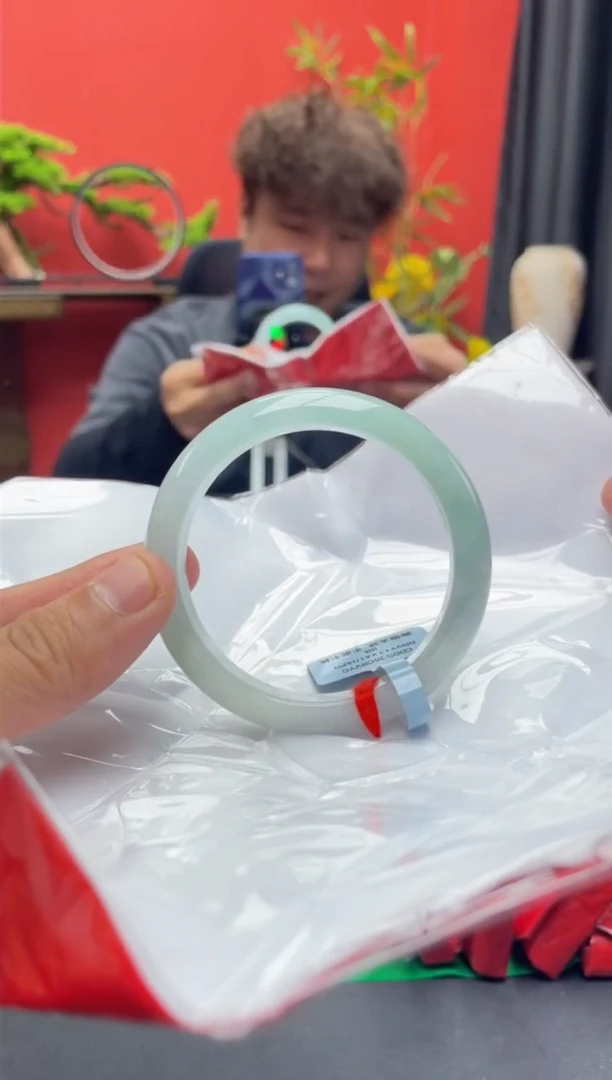 未镶嵌手镯翡翠12