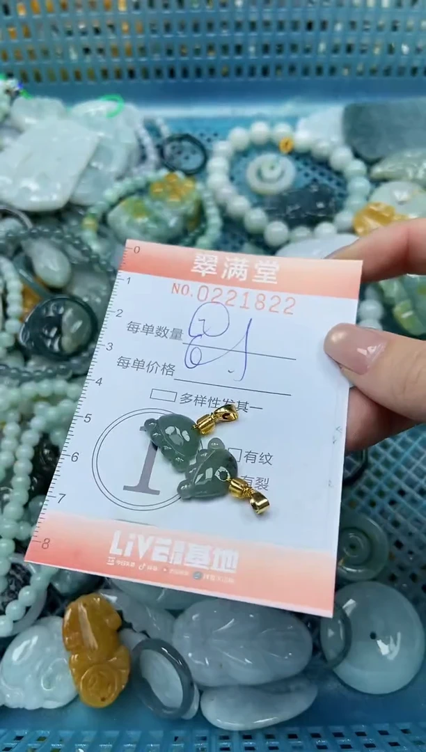 颈饰未镶嵌翡翠闪购0221822