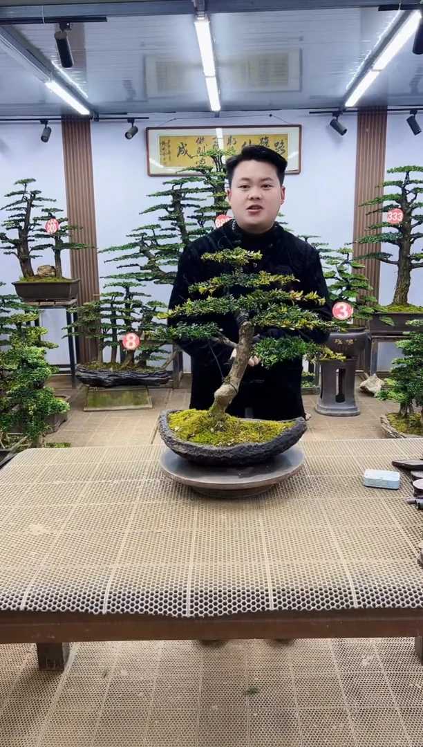 【闪购商品】000000000