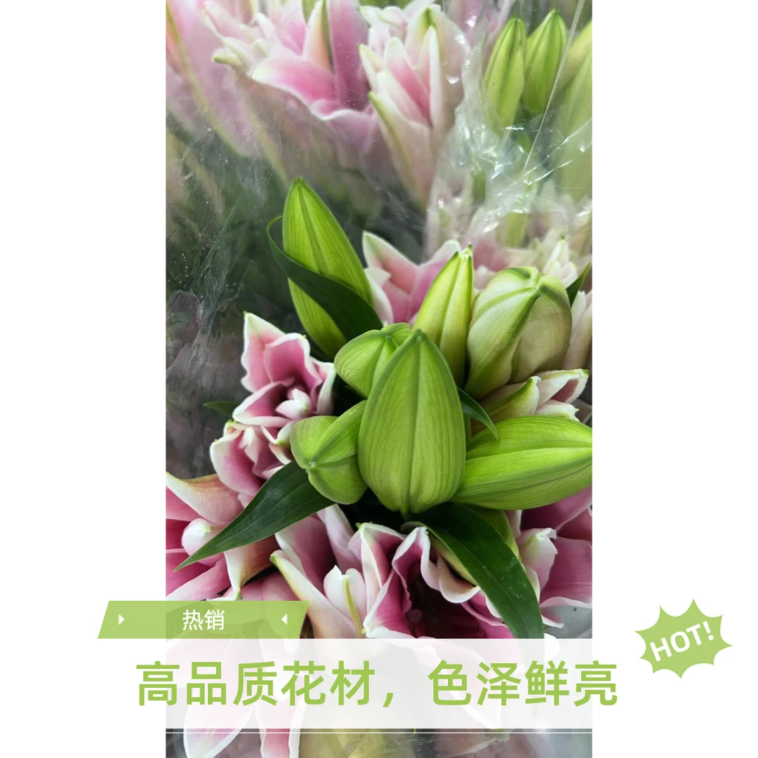 【百合】3枝百合双头颜色随机搭配 家居瓶插花