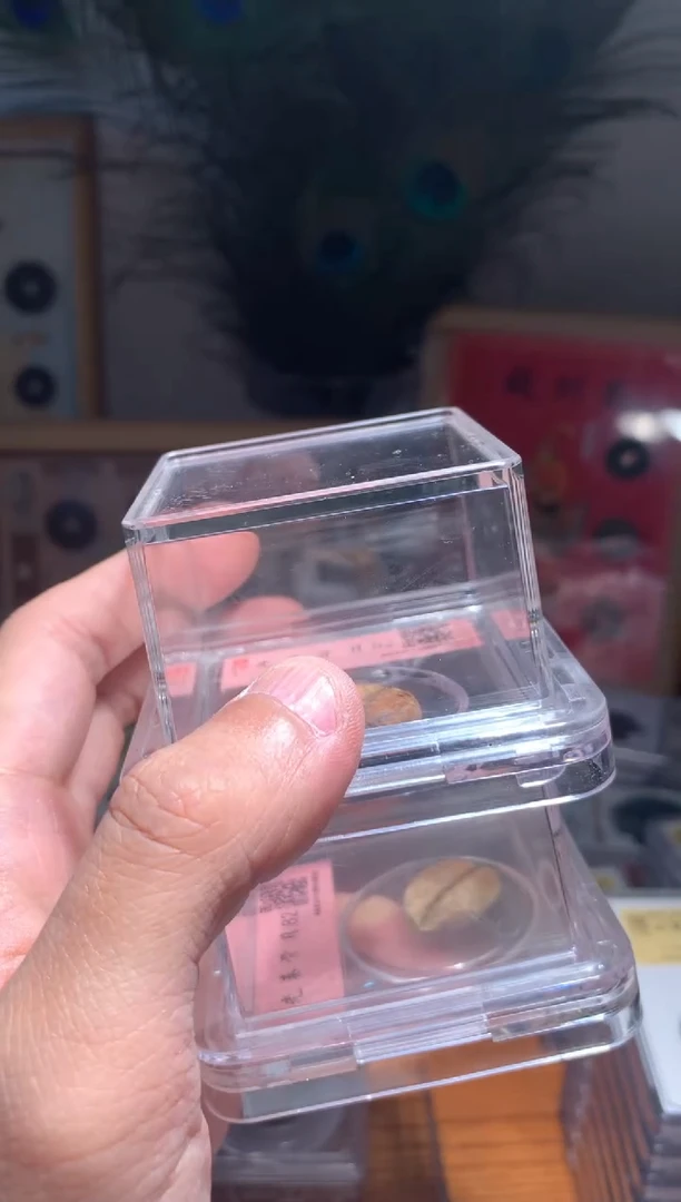 【闪购商品】铜骨贝杂件盒子82分