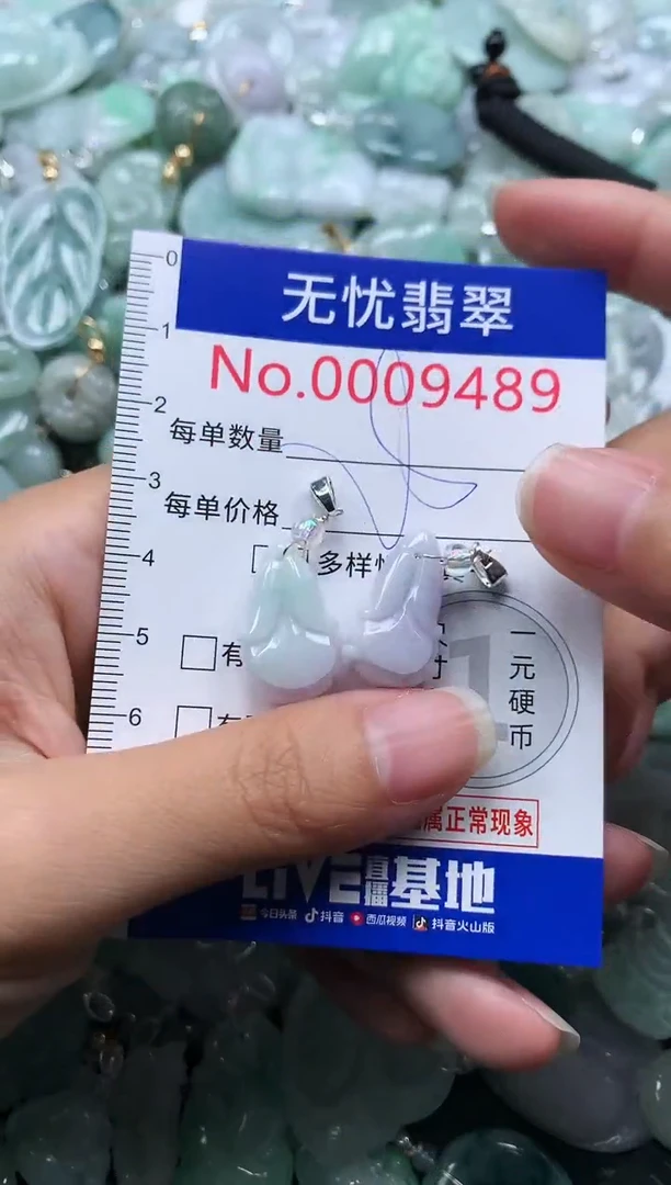 颈饰未镶嵌翡翠9489