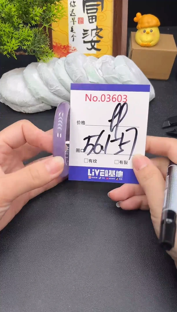 未镶嵌手镯翡翠3603