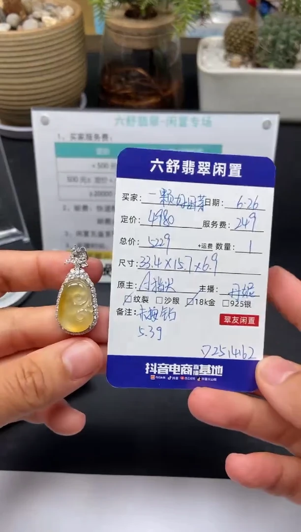 翡翠18K金镶嵌颈饰一***芽D2514162