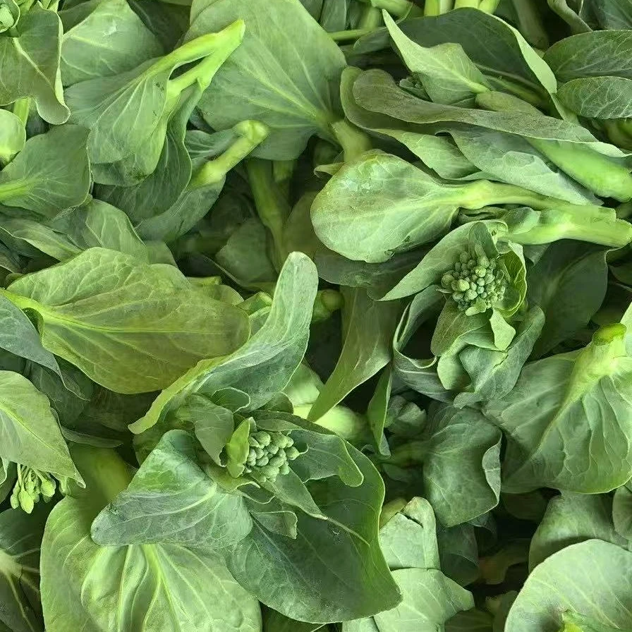 【尝鲜顺丰包邮】新鲜菜苔苏北农家菜现摘先发露天种植